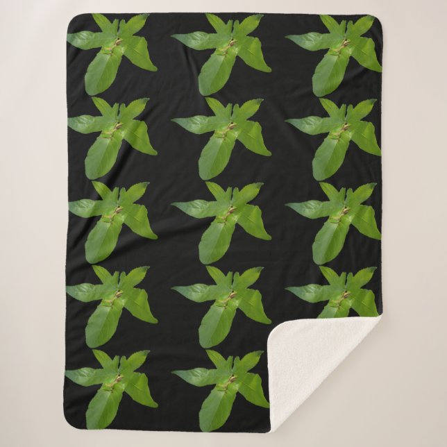 Green Grape Leaf Frog, Large Sherpa Blanket (Front)