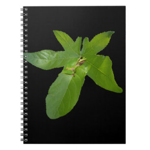 Green Grape Leaf Frog, Notebook