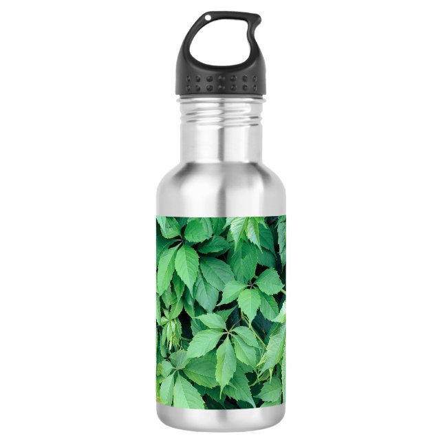 Green Grape Leaves 710 Ml Water Bottle (Front)