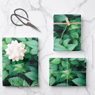 Green Grape Leaves Wrapping Paper Sheet