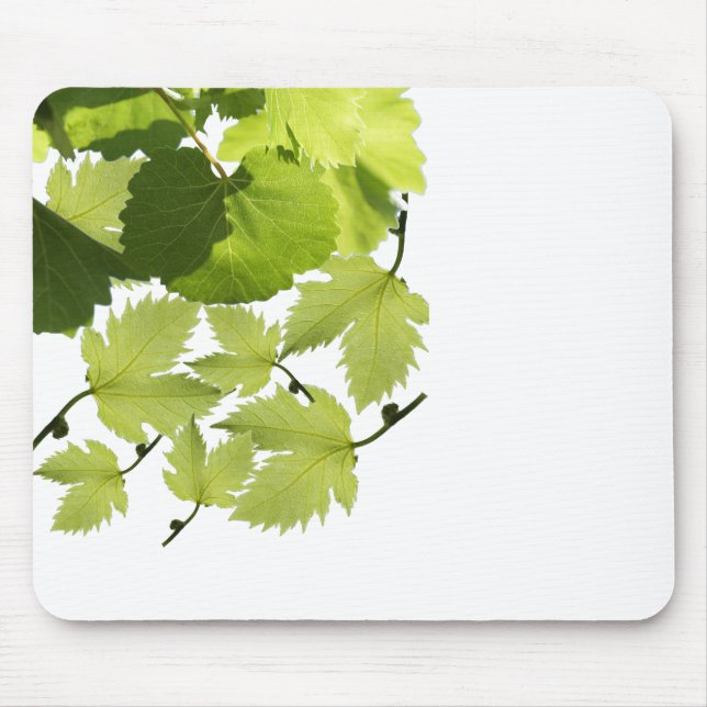 Green Grape Vine Leaves Mouse Mat (Front)