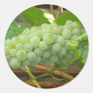 Green Grapes of California Classic Round Sticker