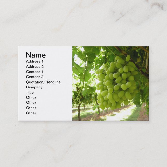 Green Grapes on the Vine Business Card (Front)