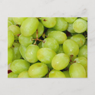 Green Grapes Postcard