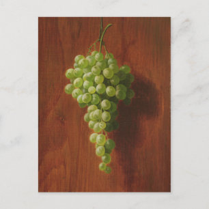 Green Grapes Postcard