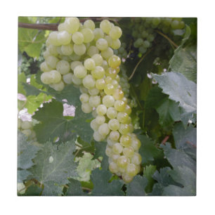 Green Grapes Tile