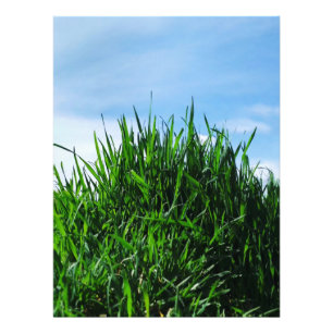 Green grass against the background of the endless photo print