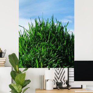 Green grass against the background of the endless poster