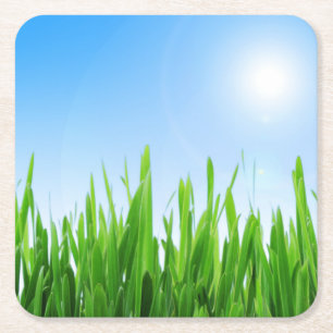 Green Grass And Sky Banner Square Paper Coaster