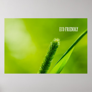 Green Grass And Sun - Eco friendly Poster