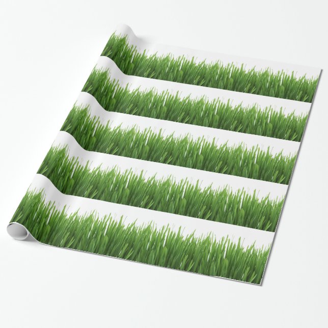 Green Grass background Wrapping Paper (Unrolled)