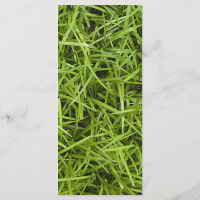 Green Grass Backyard Wedding Program Programme (Back)