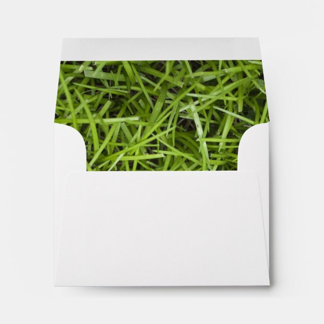 Green Grass Backyard Wedding RSVP Envelopes (Back (Bottom))