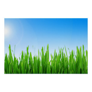 Green Grass Blue Sky Landscape-10826 Poster