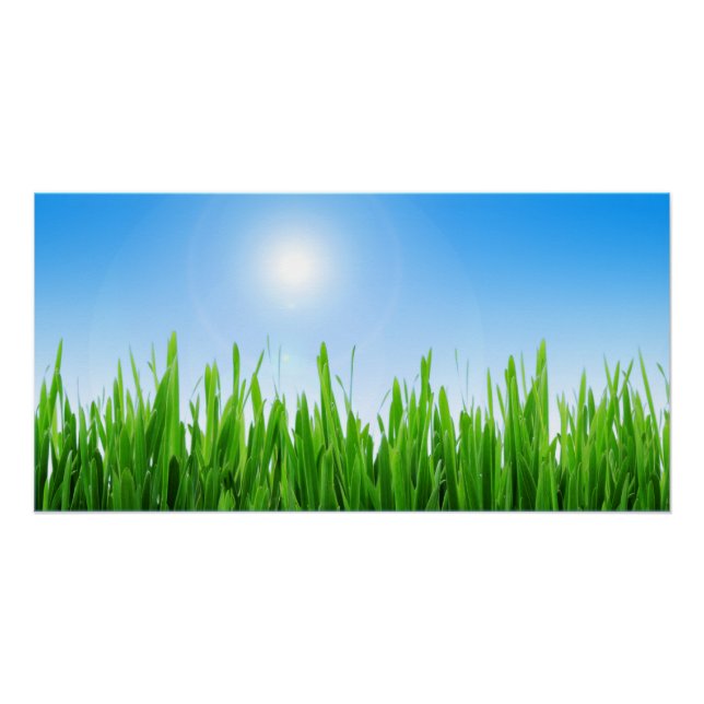 Green Grass Blue Sky Landscape-10826 Poster (Front)