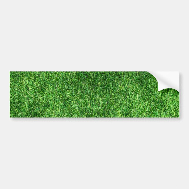 Green Grass Bumper Sticker (Front)