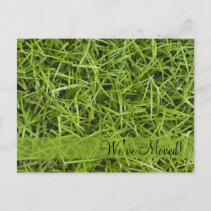 Green Grass Change of Address Announcement Postcard