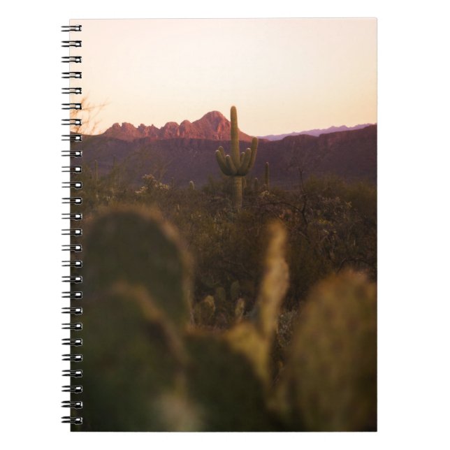 GREEN GRASS FIELD NOTEBOOK (Front)