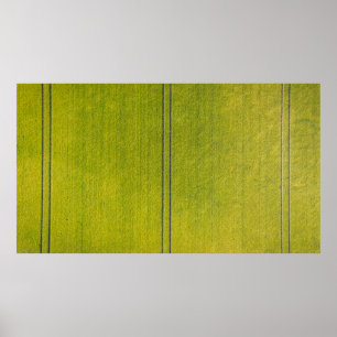 Green grass field poster