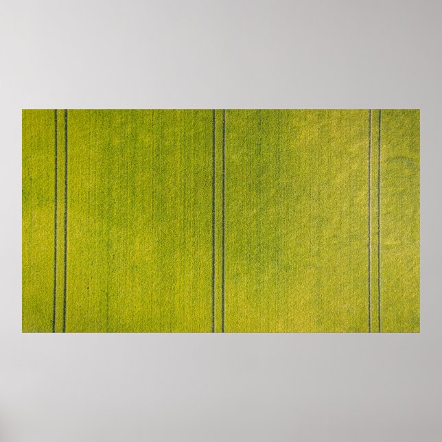 Green grass field poster (Front)
