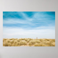 Green grass field under blue skies