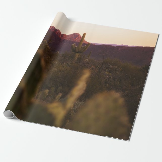 GREEN GRASS FIELD WRAPPING PAPER (Unrolled)