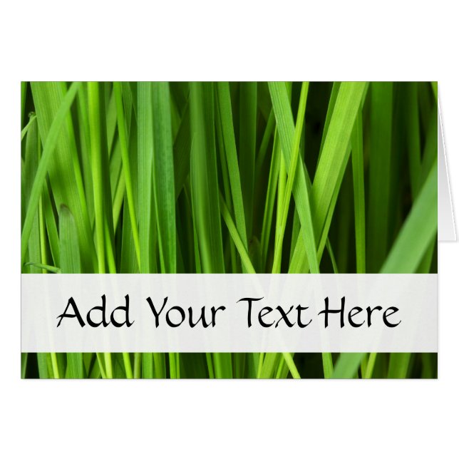Green Grass, Grass Background, Leaf, Leaves, Plant (Front Horizontal)