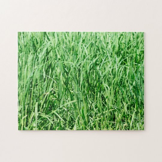 Green Grass Jigsaw Puzzle Zazzle.co.uk