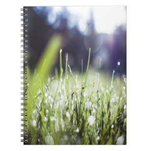 Green Grass Notebook