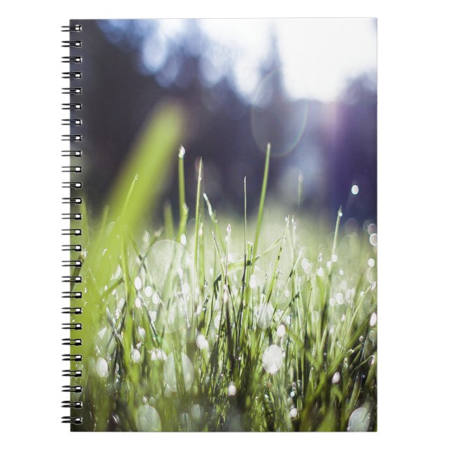 Green Grass Notebook (Front)