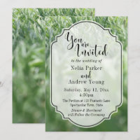 Green Grass Photo for Casual Outdoor Wedding