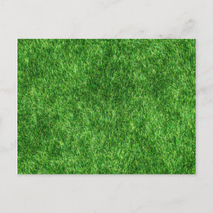 Green Grass Postcard