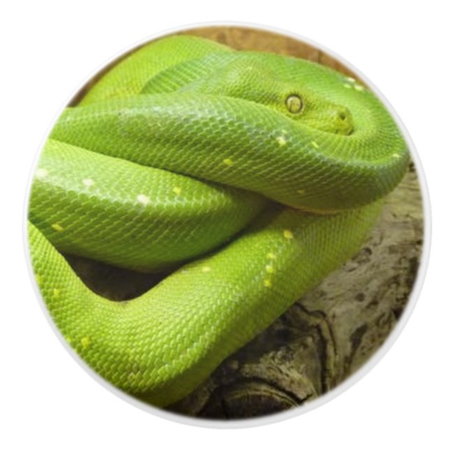 GREEN GRASS SNAKE CERAMIC KNOB (Front)