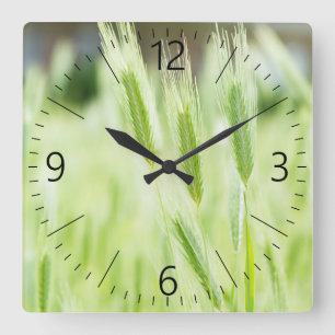 Green grass square wall clock