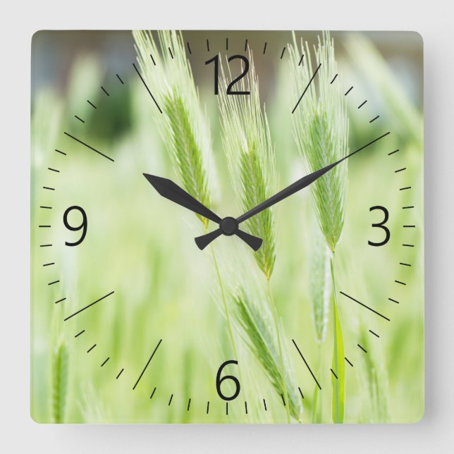 Green grass square wall clock (Front)