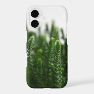 Green Grass Succulent Plant Photo Custom Case
