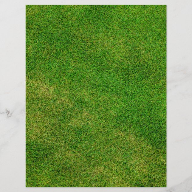 Green Grass Texture (Front)