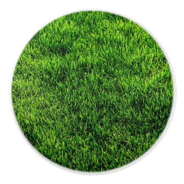 Green grass texture from a soccer field ceramic knob (Front)