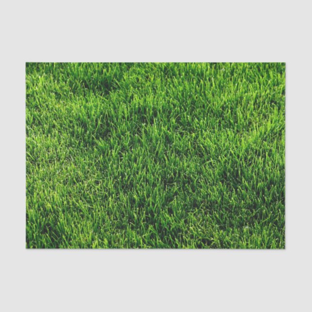 Green grass texture from a soccer field tissue paper (Front)