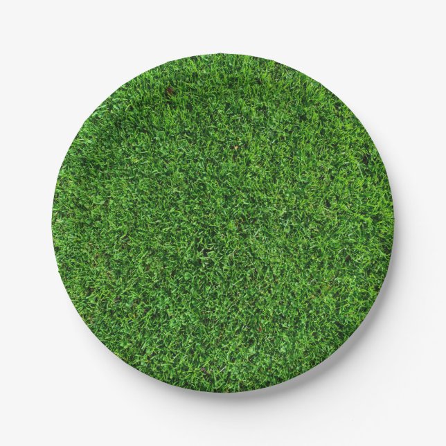 Green Grass Texture Paper Plate (Front)