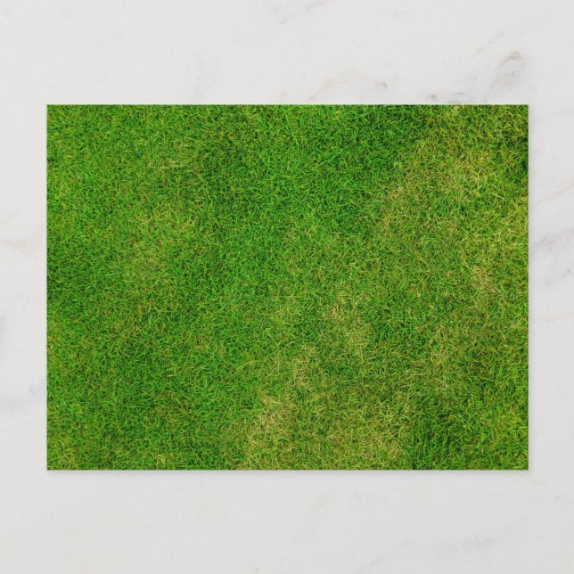Green Grass Texture Postcard (Front)