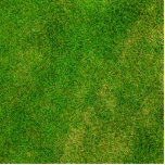 Green Grass Texture Standing Photo Sculpture<br><div class="desc">Green grass texture photo. Great green grass background for many great products and templates. Add your own text and personalise these gifts with monograms and custom texts. Make them truly unique!</div>