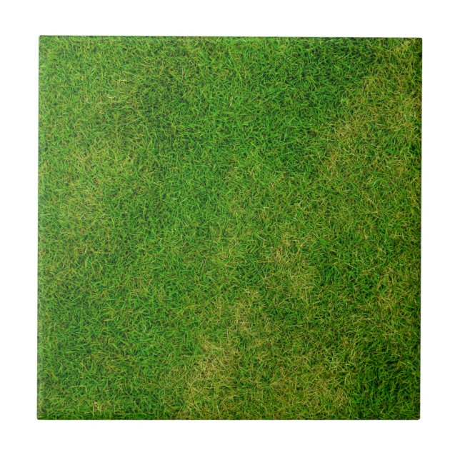 Green Grass Texture Tile (Front)