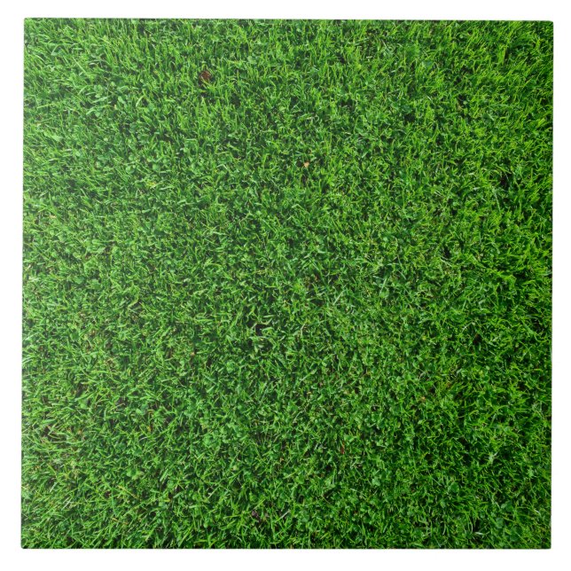 Green Grass Texture Tile (Front)