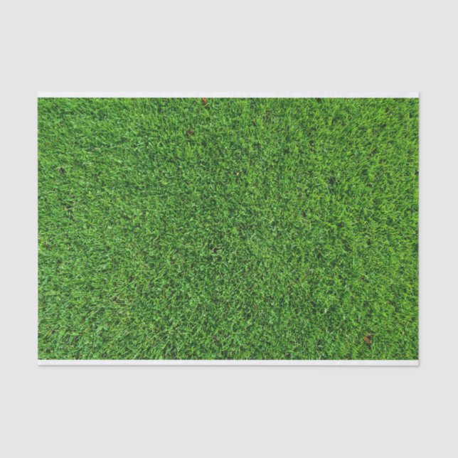 Green Grass Texture Tissue Paper (Front)