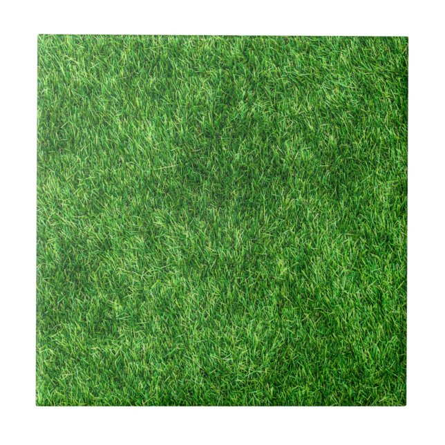 Green Grass Tile (Front)