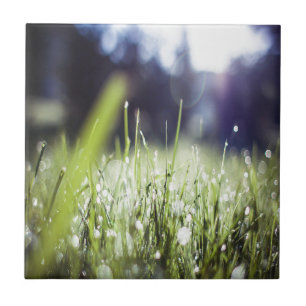 Green Grass Tile