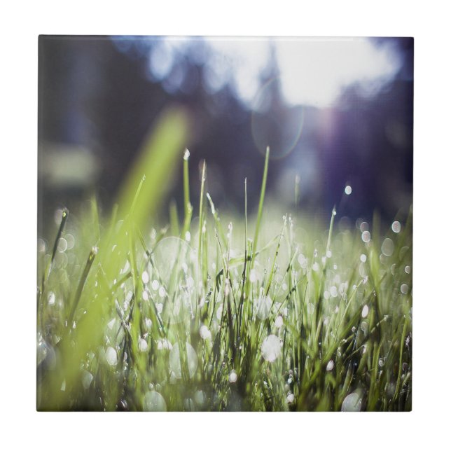 Green Grass Tile (Front)