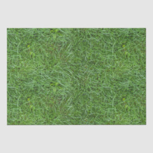 Green Grass Tissue Paper