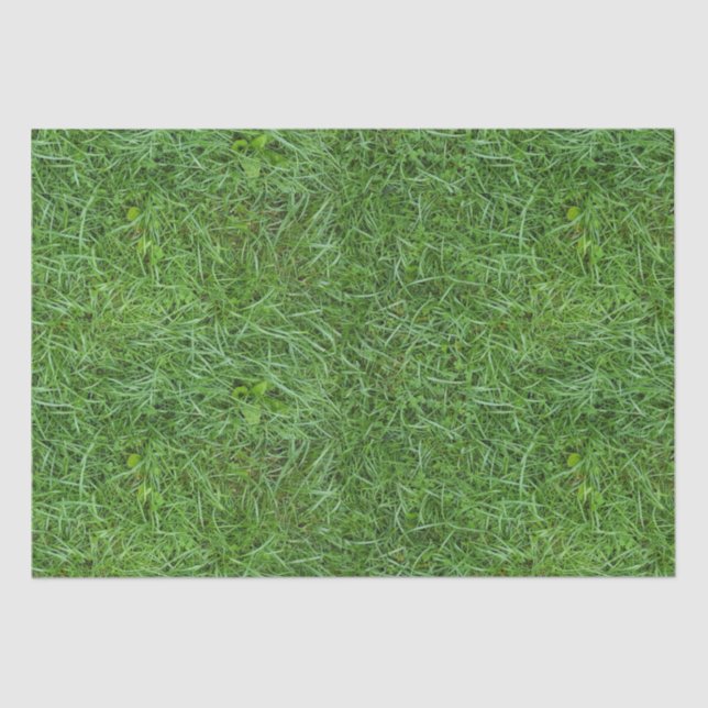 Green Grass Tissue Paper (Front)
